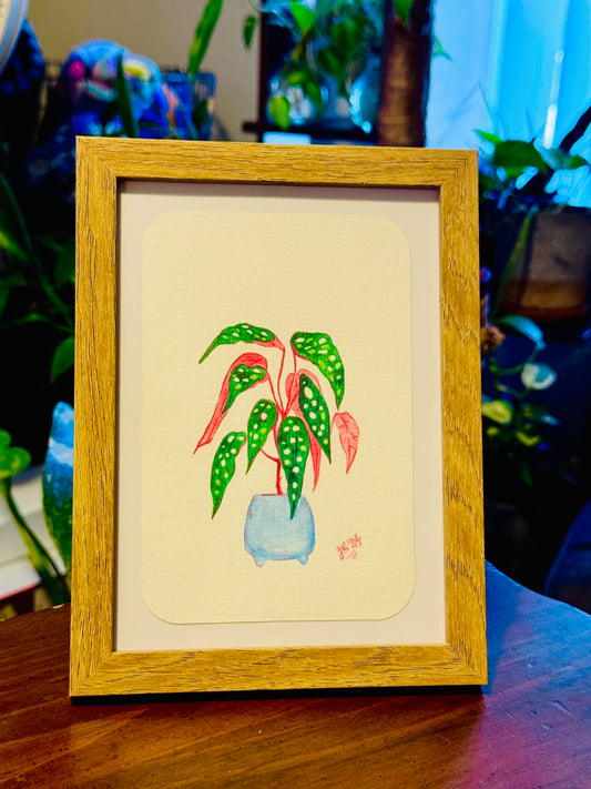 Polka Dot Begonia Original Watercolor Painting (framed)